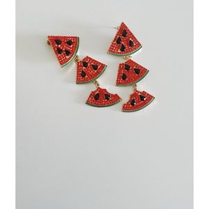 Watermelon Earring for the perfect touch tonic to any outfit!